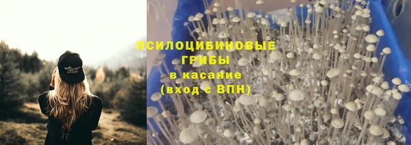гидропоника Армянск