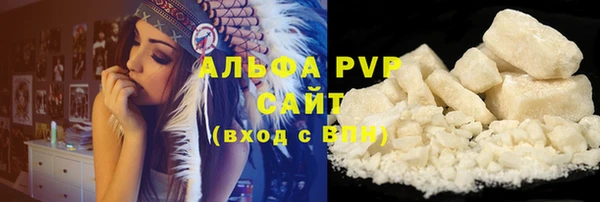 стаф Арсеньев