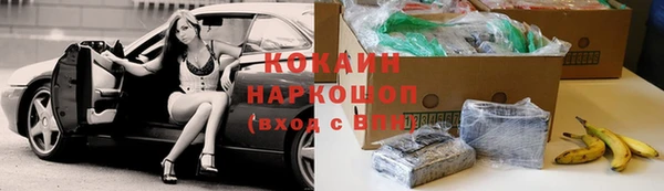 стаф Арсеньев