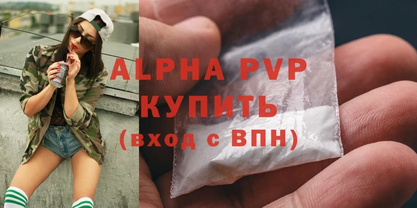 стаф Арсеньев