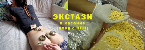 стаф Арсеньев